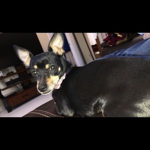 Meet your Posher, Robert